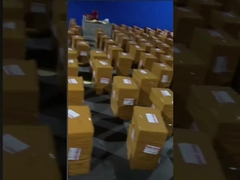 لباس شنا یک تکه سکسی بیکینی با رنگ هماهنگ لباس شنای محافظه کارانه زنانه یک تکه